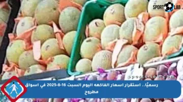 رسميًا.. استقرار أسعار الفاكهة اليوم السبت 16-8-2025 في أسواق مطروح